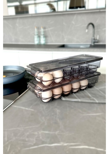 Kapaklı Şeffaf Siyah Yumurta Saklama Kabı, Pratik ve Şık Tasarım fırsatları