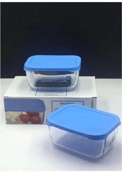 Mavi 420 cc Kapaklı Saklama Kutusu 2'li Set