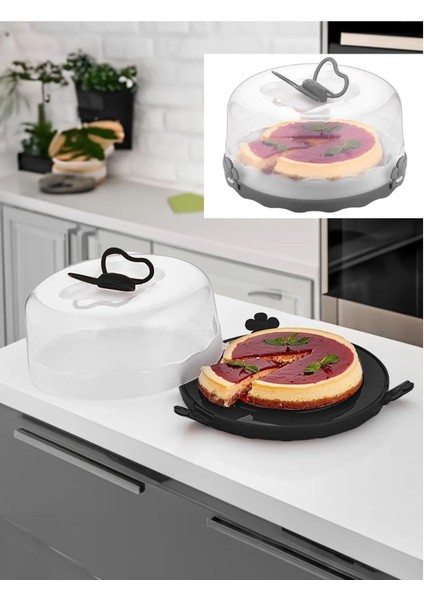 Gri Kek Saklama Kabı, Fanus ve Kilitli Taşıma Kabı, Pratik ve Şık Tasarım