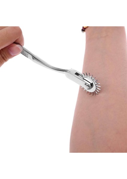 Paslanmaz Çelik Wartenburg Pinwheel, Gri, Sağlık ve Günlük Kullanım Için fiyatları