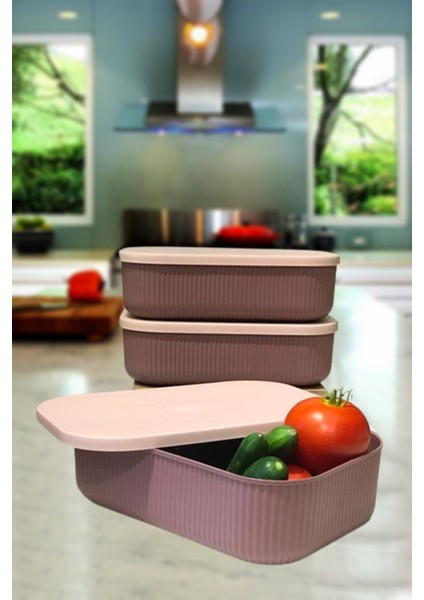 3'lü Mutfak Saklama Kabı Seti, 3.2 Lt, Mürdüm Renk