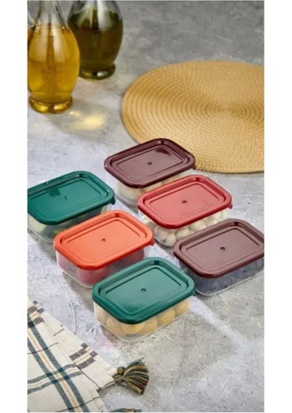 4'lü Renkli Kapaklı Saklama Kabı Seti, Pratik ve Şık Çok Amaçlı Saklama Çözümleri fiyatları