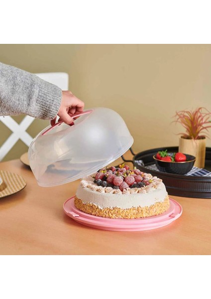 Yeşil Renkli Kek ve Cup Kek Fanusu, Pratik ve Şık Tasarım modelleri