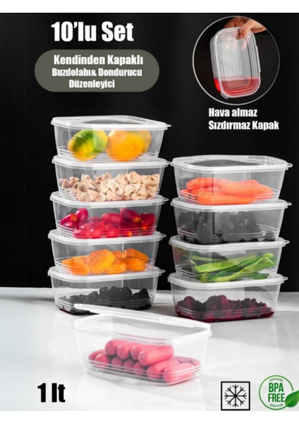 10'lu 1 Litre Çok Renkli Buzluk ve Dondurucu Kabı Seti fiyatları