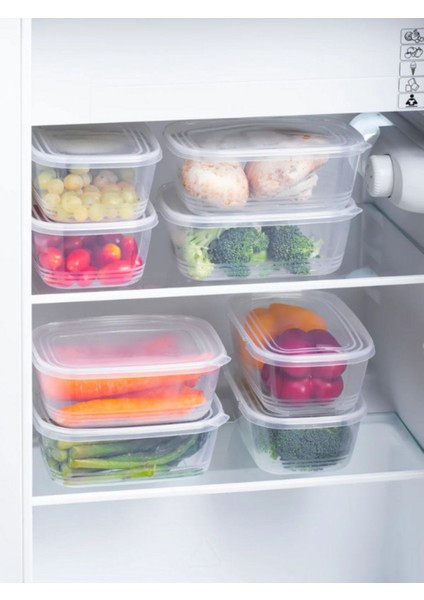 10'lu 1 Litre Çok Renkli Buzluk ve Dondurucu Kabı Seti fırsatları