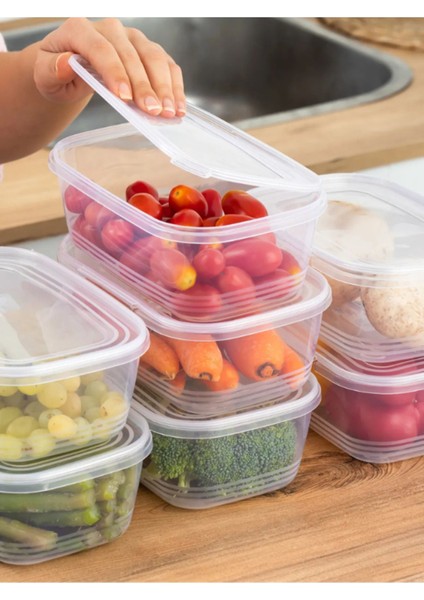 10'lu 1 Litre Çok Renkli Buzluk ve Dondurucu Kabı Seti indirimleri