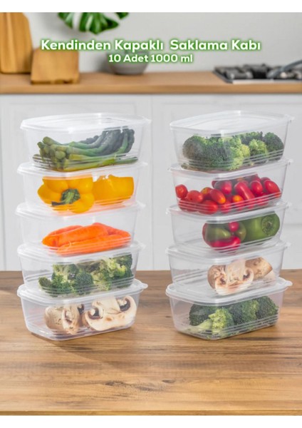 10'lu 1 Litre Çok Renkli Buzluk ve Dondurucu Kabı Seti