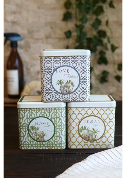 Dikdörtgen Saklama Kabı 8X12X12 Cm, 3'lü Set, Yeşil, Sağlam ve Şık Tasarım