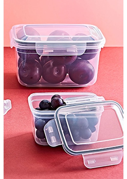 2'li Renkli Dikdörtgen Contalı Derin Saklama Kabı Seti 550ML-1000ML Bpa Free