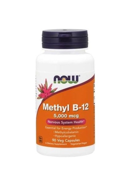 Methyl B-12 Vitamin Nervous System Health 5000MCG Methylcobalamin Hypoallergenic 90 Veg