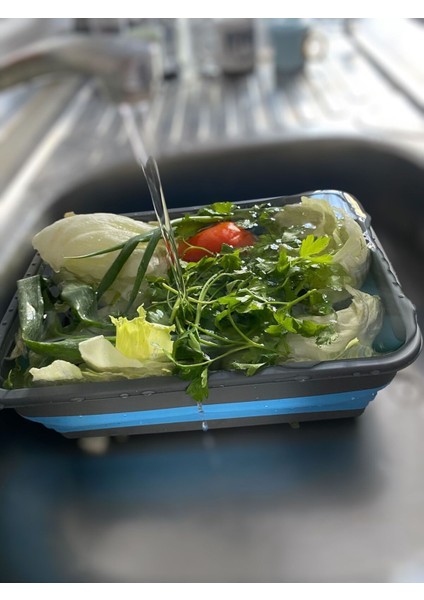 Katlanabilir 4l Badya Leğeni, Antrasit/mavi, Akordiyon Tasarım indirimleri