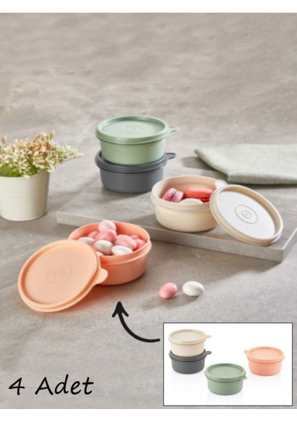 Renkli 4'lü Mini Saklama Kabı Seti, Kapaklı ve Şık Tasarım