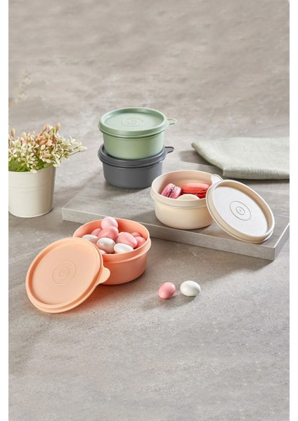 Renkli 4'lü Mini Saklama Kabı Seti, Kapaklı ve Şık Tasarım fiyatları