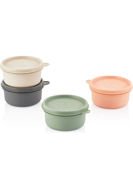 Renkli 4'lü Mini Saklama Kabı Seti, Kapaklı ve Şık Tasarım modelleri