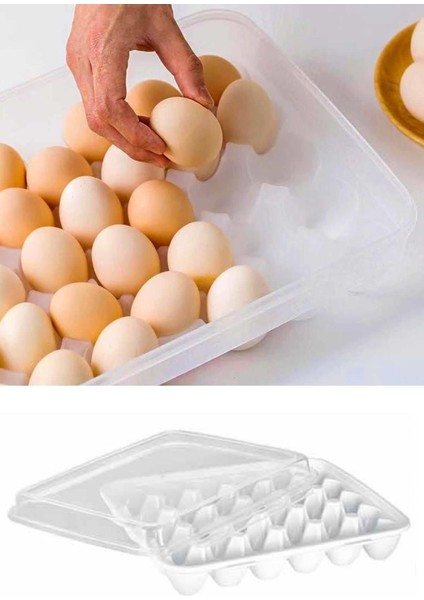 Beyaz 30'lu Yumurta Saklama Kabı, Hijyenik ve Pratik Kullanım Için Ideal Seçenek modelleri
