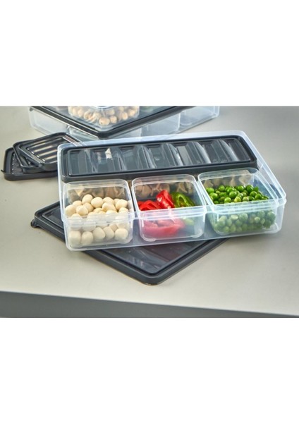 4 Bölmeli Şeffaf Kahvaltı ve Saklama Kabı Seti, 10 Parça, Gri Renk