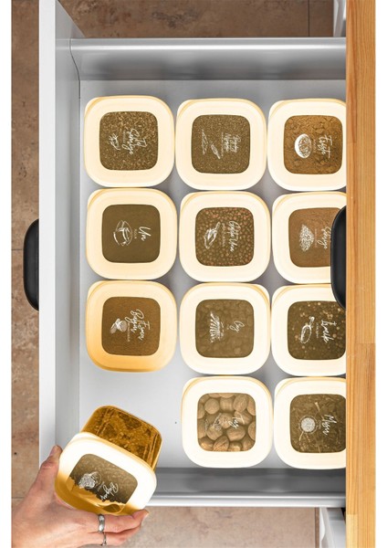 6'lı 1,2 Litre Çizgili Desenli Saklama Kabı Seti, Gold Beyaz Serigrafi indirimleri