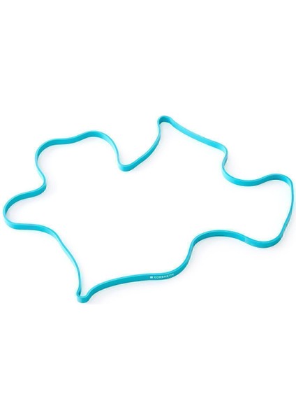 Turkuaz Direnç Bandı, 15 Kg, Egzersiz ve Fitness Için Ideal Ürün modelleri