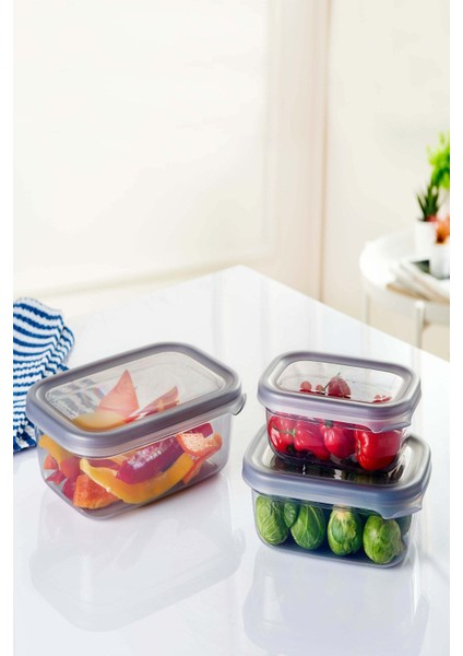 Set 3 Saklama Kabı, 400-1200 Ml, Çok Amaçlı, Gri, Pratik ve Şık Tasarım fiyatları