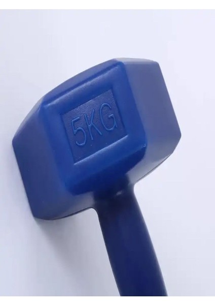Mavi 10 kg Dambıl Seti, Ev ve Spor Için Sağlam Çözüm fiyatları