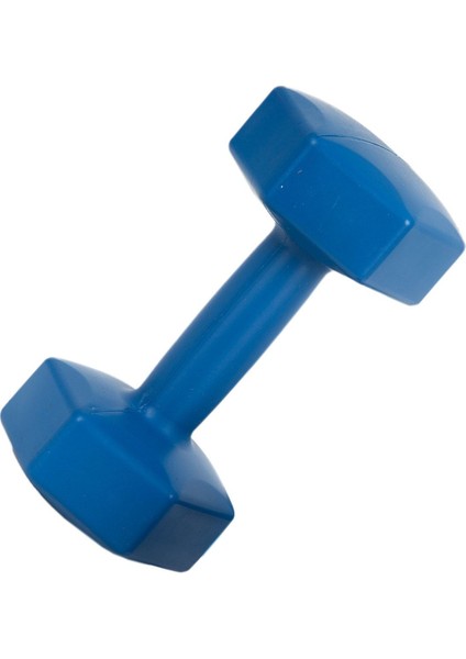 Mavi 10 kg Dambıl Ağırlık, Tek Adet, Ev ve Spor Için Sağlam ve Hafif