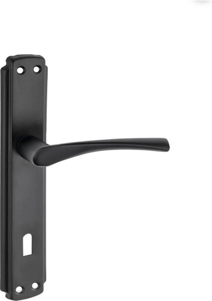 Şık Siyah Kapı Kolu ve Koruma Tamponu 2'li Set modelleri