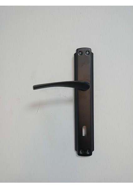 Şık Siyah Kapı Kolu ve Koruma Tamponu 2'li Set fırsatları