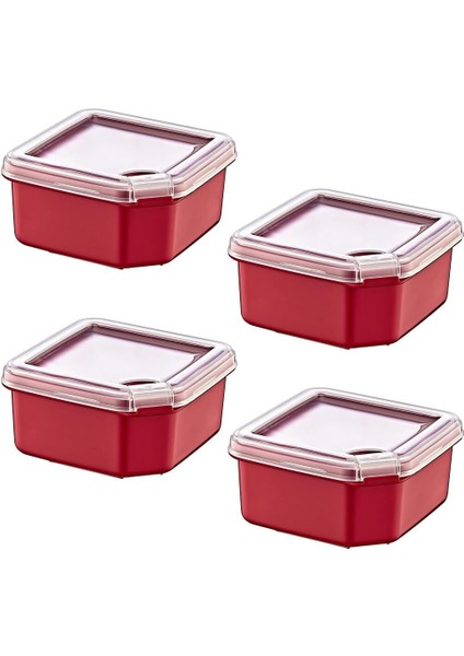 4'lü Saklama Kabı Seti Carmen 350 Ml, Kahverengi, Güvenle ve Pratik Kullanım