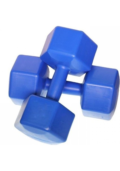 Mavi 4 kg Dambıl Seti, Evde Spor Için Ideal ve Şık Tasarım