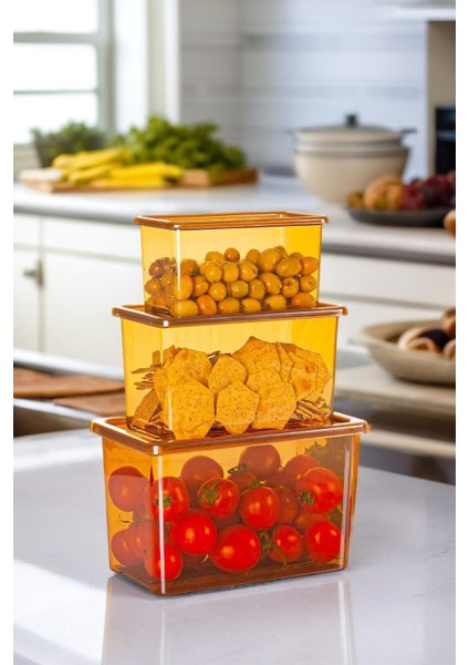 Bronz Renkli Dikdörtgen Saklama Kabı Seti, 3'lü, Şık ve Dayanıklı Tasarım