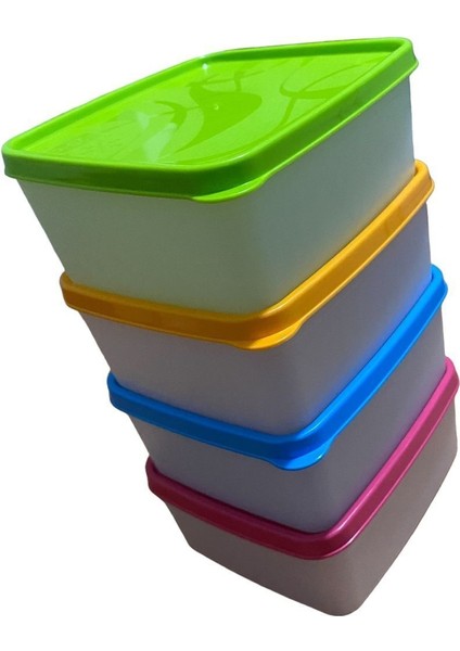 4'lü Çok Renkli Derin Dondurucu Saklama Kabı, 650 Ml, Nofrost Özellikli