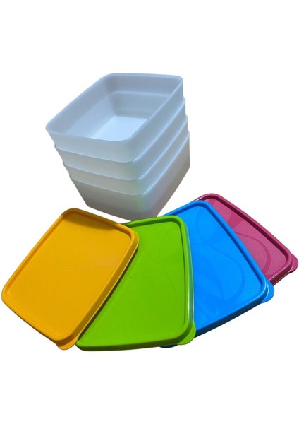 4'lü Çok Renkli Derin Dondurucu Saklama Kabı, 650 Ml, Nofrost Özellikli fiyatları