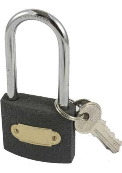 Gri 50 mm Uzun Kancalı Asma Kilit, Dayanıklı ve Güvenilir Güvenlik Çözümü