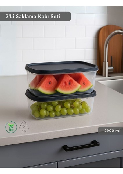 Çok Renkli 2'li Dikdörtgen Saklama Kabı, Derin Dondurucu Için 2900 Ml, Bpa Free