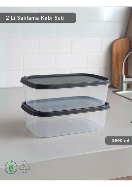 Çok Renkli 2'li Dikdörtgen Saklama Kabı, Derin Dondurucu Için 2900 Ml, Bpa Free fiyatları