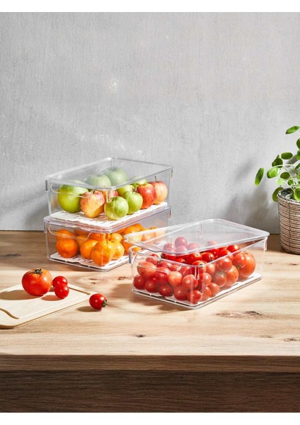 Turuncu 6l Plastik Kapaklı Buzdolabı Saklama Kabı, Organizer, 30X20X10CM