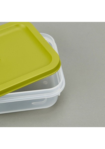 Çok Renkli Derin Dondurucu Saklama Kabı, 500 Ml, Pratik ve Kullanışlı Doğa Dostu modelleri