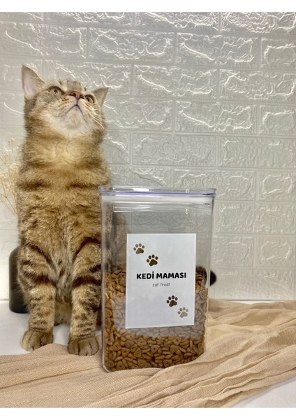 2900ML Akrilik Kedi Mama Saklama Kabı Vakum Kapaklı Beyaz modelleri