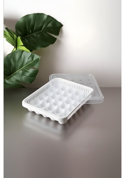 30'lu Yumurta Saklama Kabı, Buzdolabında Düzen ve Tazelik Sağlar modelleri