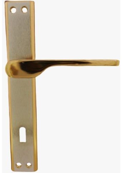 Şık Aynalı Kapı Kolu, Saten Yüzey, Modern ve Zarif Tasarım