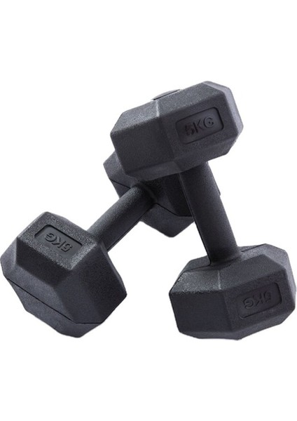 Mavi 2x5 kg Demir Dambıl Ağırlık Seti Yüksek Kalite