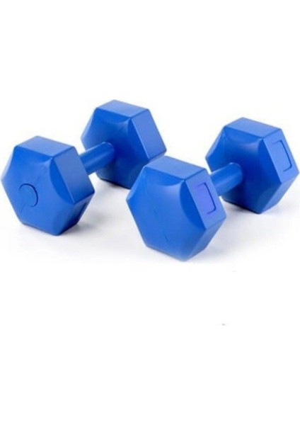 8 kg x 2 Adet Mavi Pvc Kaplama Dambıl Seti Spor Ağırlık Takımı fiyatları