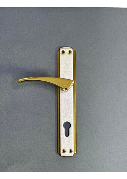 Şık ve Dayanıklı Kapı Kolu, Alüminyum Renk, Sol Aşağı Yön, 1 Adet