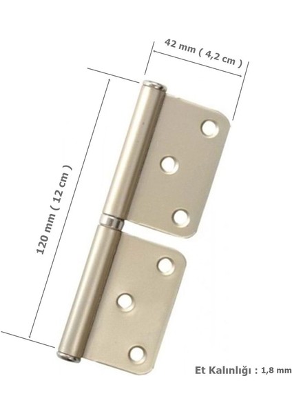 12 cm Saten Çelik Panel Yönsüz Kapı Menteşesi, Dayanıklı ve Şık Tasarım fiyatları