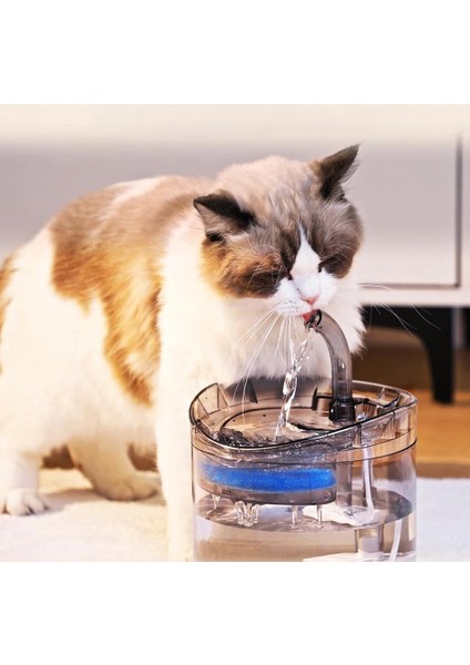 Sessiz Otomatik Pet Kedi Köpek Su Sebili Pınarı Çeşmesi Şelalesi 2l Büyük Kapasite Konforlu Sağlıklı
