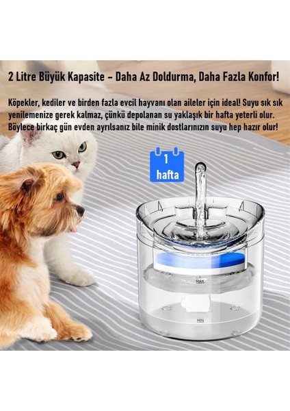 Sessiz Otomatik Pet Kedi Köpek Su Sebili Pınarı Çeşmesi Şelalesi 2l Büyük Kapasite Konforlu Sağlıklı