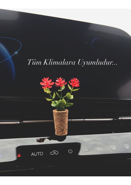 Dekoratif Mini Oto Klima Süsü|el Yapımı Mantar Saksı Çiçek Araba Kokusu|Difüzör Kırmızı modelleri
