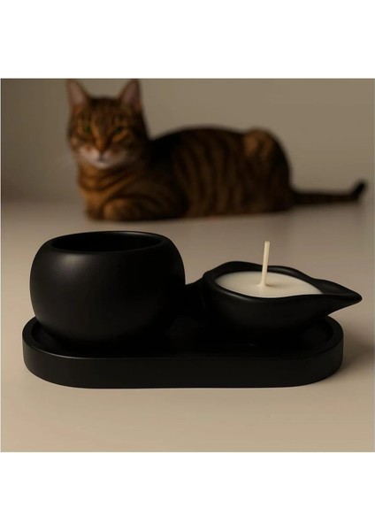 3'lü Dekoratif Set (Minik Saksı Mumluk)