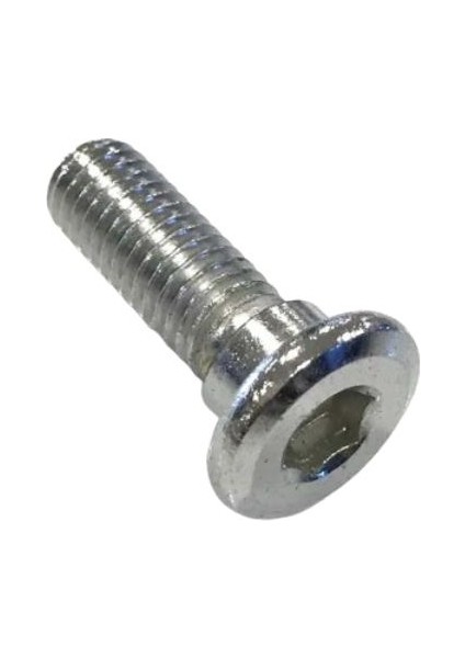 Fren Disk Vidası Setli (8 Metrik)