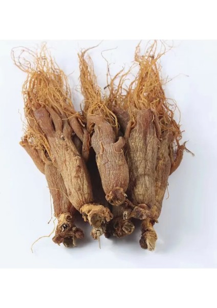 %100 Doğal Ginseng Kökü 25 gr modelleri